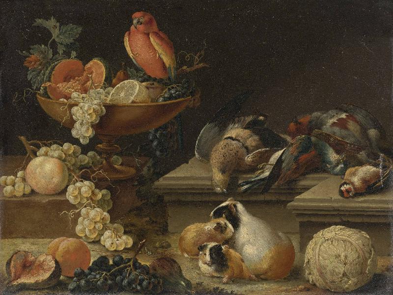 Johann kupetzky Still life with a Parrot oil painting image